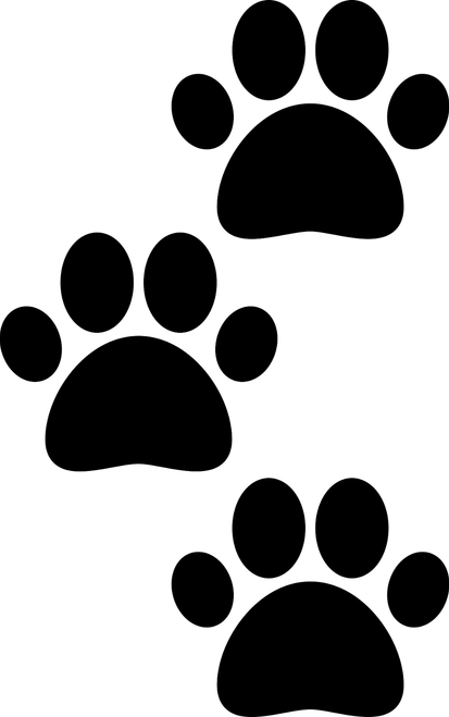 3paws (2) Poster Canvas Movie Film Print A0 A1 A2 A3 A4 A5 A6 Art Wall Decoratio