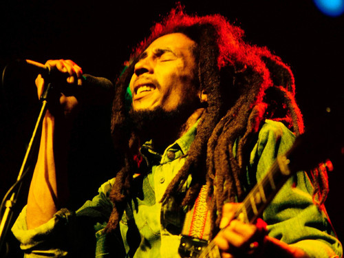 bob-marley-1980 Poster Canvas Movie Film Print A0 A1 A2 A3 A4 A5 A6 Art Wall Dec