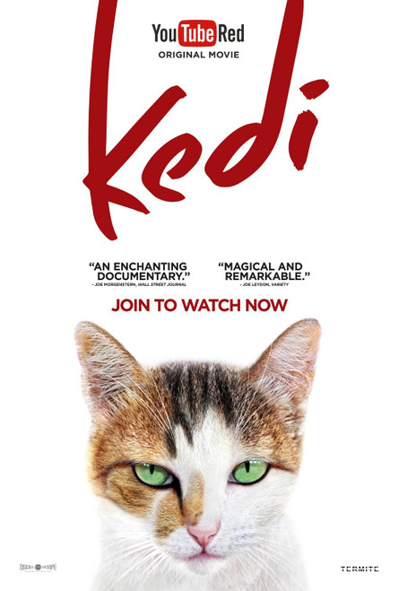 Kedi (2017)_4 Poster Canvas Movie Film Print A0 A1 A2 A3 A4 A5 A6 Art Wall Decor