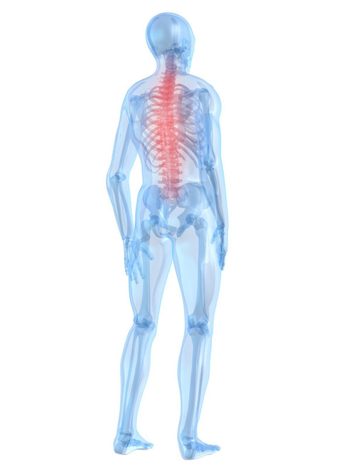 Anatomy and Medicine artistic photo (6) Poster Canvas Print Art Painting Decor