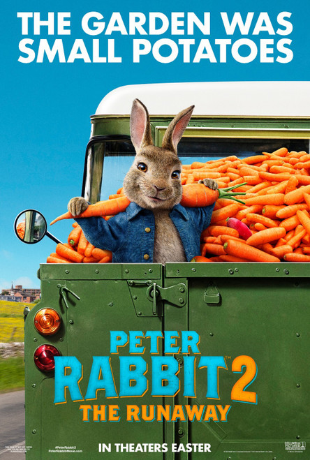 Peter Rabbit 2_ The Runaway (2021)_1 Poster Canvas Movie Film Print A0 A1 A2 A3