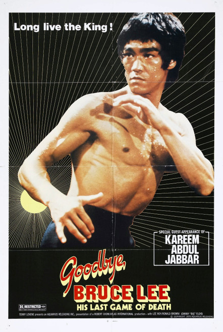 Goodbye Bruce Lee 02 Poster Canvas Movie Film Print A0 A1 A2 A3 A4 A5 A6 Art Wal