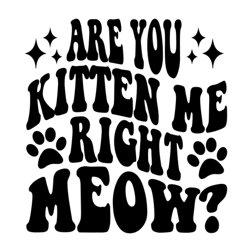 Are You Kitten Me Right Meow (3) Poster Canvas Movie Film Print A0 A1 A2 A3 A4 A