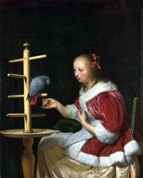 MIERIS, Frans van, the Elder - A Woman in a Red Jacket feeding a Parrot Poster C