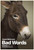 Bad Words (2014)_3 Movie Film Poster Canvas iconic design
