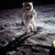 moonlanding Poster Canvas Movie Film Print A0 A1 A2 A3 A4 A5 A6 Art Wall Decorat