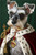 dog regal cape adorned with jewels and a rich, red velvet trim (4) Poster Canvas
