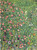 Detail of Italian Garden Landscape- Klimt 1913 Art Gallery Poster Canvas Print W