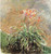 Monet- Hemerocallis Poster Canvas Movie Film Print A0 A1 A2 A3 A4 A5 A6 Art Wall Monet- Hemerocallis Poster Canvas Movie Film Print A0 A1 A2 A3 A4 A5 A6 Art Wall