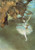 Degas- The Star- 1876-77 Art Gallery Poster Canvas Print Wall Decoration A0 A1 A