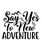 Say Yes To New Adventure-01 Poster Canvas Movie Film Print A0 A1 A2 A3 A4 A5 A6