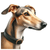 162 Greyhound Poster Canvas Movie Film Print A0 A1 A2 A3 A4 A5 A6 Art Wall Decor