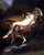 Louvre Art Gallery - Paintings gallery - 776 Poster Canvas Print Art Painting De