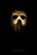 Friday the 13th (2009)_1 Movie Film Poster Canvas iconic design
