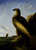 John_James_Audubon_-_Washington_Sea_Eagle_-_Google_Art_Project Poster Canvas Mov