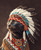 Native American Pet PortraitCustom Funny Canvas Royal Pet PortraitDigital ArtPet