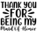 Thank-you-for-being-my-maid-of-honor Poster Canvas Movie Film Print A0 A1 A2 A3