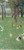 After the Rain- Klimt 1898 Poster Canvas Movie Film Print A0 A1 A2 A3 A4 A5 A6 A
