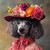 Poodle with a variety of colorful flowers in shades of pink, orange, and yellow,
