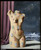 ren-magritte--the-drop-of-water_12731709444_o(1) Poster Canvas Movie Film Print