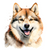 Akita (1) Poster Canvas Movie Film Print A0 A1 A2 A3 A4 A5 A6 Art Wall Decoratio