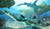 Avatar The Way of Water 22- upscaled Poster Canvas Movie Film Print A0 A1 A2 A3
