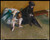 edgar-degas---waiting_14224136099_o(1) Poster Canvas Print Art Painting Decor Re