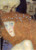 Detail of Hope I Klimt 1903 04