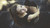 brunette-smilling-looking-behind-at-viewer-5k-1v-5120x2880 Poster Canvas Movie F