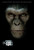 Rise of the Planet of the Apes 4 Poster Canvas Movie Film Print A0 A1 A2 A3 A4
