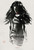 The Wolverine (2013)_9 Poster Canvas Movie Film Print A0 A1 A2 A3 A4 A5 A6 Art W