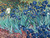 Irises_by_Van_Gogh Poster Canvas Movie Film Print A0 A1 A2 A3 A4 A5 A6 Art Wall