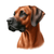 117 Weimaraner Rhodesian Ridgeback Poster Canvas Movie Film Print A0 A1 A2 A3 A4