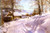 Monsted_Peder_On_The_Snowy_Path Poster Canvas Movie Film Print A0 A1 A2 A3 A4 A5
