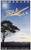 49785959287_ERKELENS Paul-Homeward - KLM Royal Dutch Airlines-1944-artofuniverse