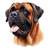 111 Bullmastiff Poster Canvas Movie Film Print A0 A1 A2 A3 A4 A5 A6 Art Wall Dec