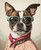 Modern Gentleman Pet PortraitRegal Pet PortraitPortrait CustomHistory Pet Portra