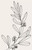Set of 3 Neutral Botanical Line Art Prints - Minimalist Decor Wall Art C Poster