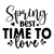 Spring Best Time to Love-01 (2) Poster Personalized Canvas Movie Film Print A0 A