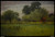 george-inness---apple-orchard--jpb_28674100143_o(1) Poster Canvas Movie Film Pri