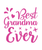 BEST GRANDMA EVER 1-01 Poster Canvas Movie Film Print A0 A1 A2 A3 A4 A5 A6 Art W