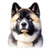 108 Akita Poster Canvas Movie Film Print A0 A1 A2 A3 A4 A5 A6 Art Wall Decoratio