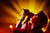 The Strokes 9 - Poster (A0-A4) Film Movie Picture Wall Decor Actor