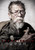Snowpiercer (2013)_2 Poster Canvas Movie Film Print A0 A1 A2 A3 A4 A5 A6 Art Wal