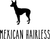mexican hairless (2) Poster Canvas Movie Film Print A0 A1 A2 A3 A4 A5 A6 Art Wal