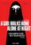 A GIRL WALKS HOME ALONE AT NIGHT (2014) 4 Poster Canvas Movie Film Print A0 A1 A
