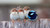 passerine-birds-3840x2160 Poster Canvas Movie Film Print A0 A1 A2 A3 A4 A5 A6 Ar