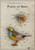 Parts of bird Poster Canvas Movie Film Print A0 A1 A2 A3 A4 A5 A6 Art Wall Decor