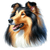 307 Collie Poster Canvas Movie Film Print A0 A1 A2 A3 A4 A5 A6 Art Wall Decorat