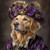 golden Retriever in a richly detailed, ornate outfit. The dog is adorned with a
